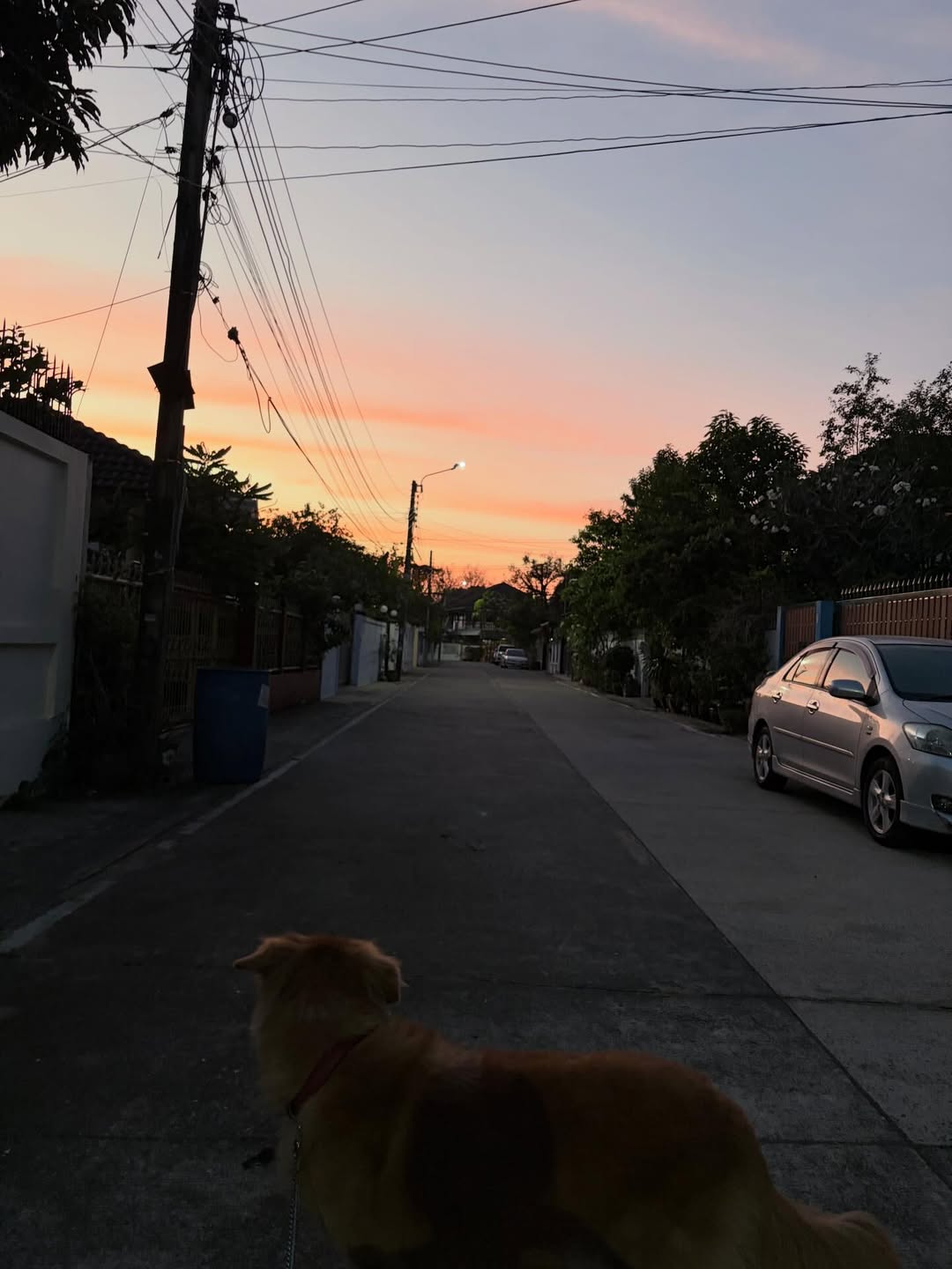 มิ้น - มิณฑิตา วัฒนกุล