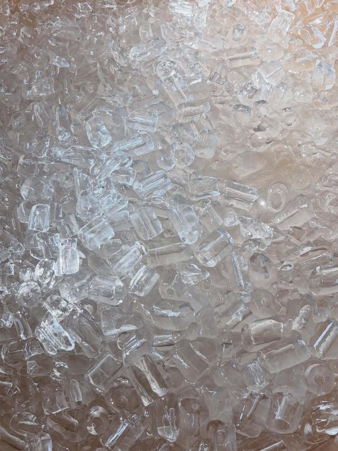 มิ้น - มิณฑิตา วัฒนกุล