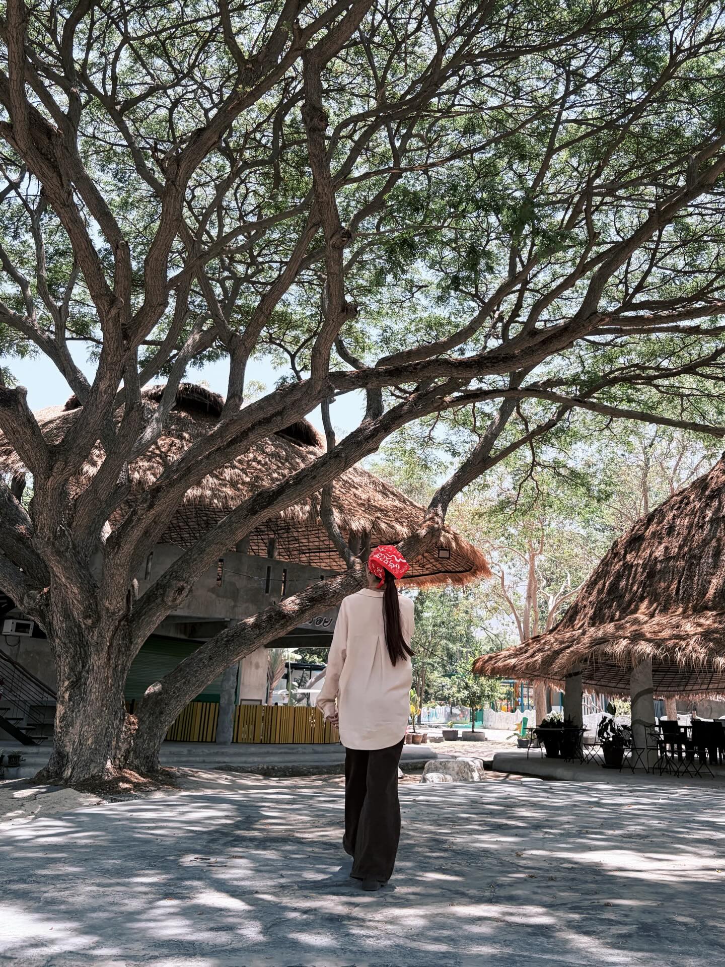 มิ้น - มิณฑิตา วัฒนกุล