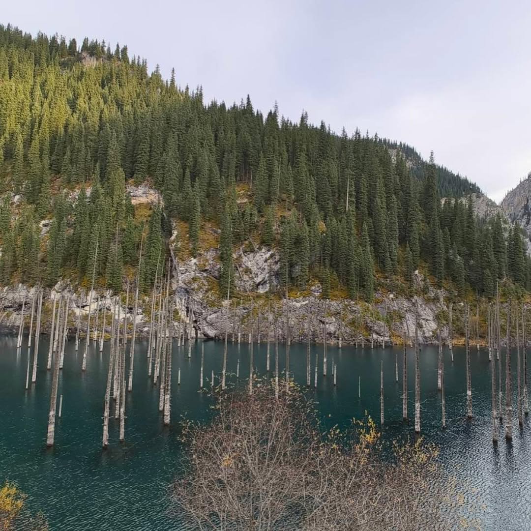 เวียร์ - ศุกลวัฒน์ คณารศ