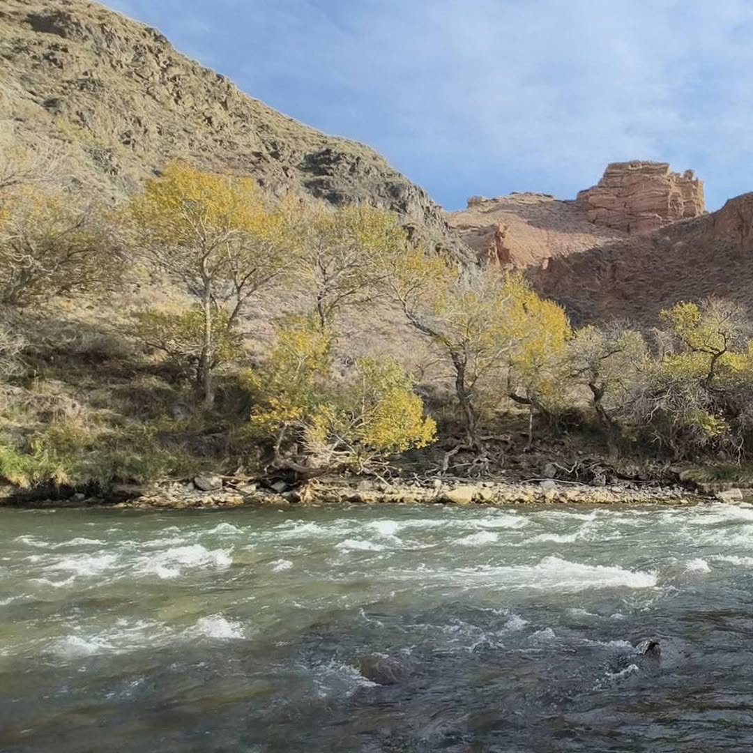 เวียร์ - ศุกลวัฒน์ คณารศ