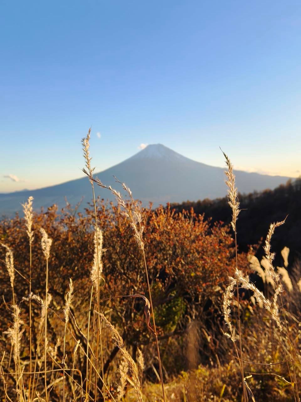 เวียร์ - ศุกลวัฒน์ คณารศ