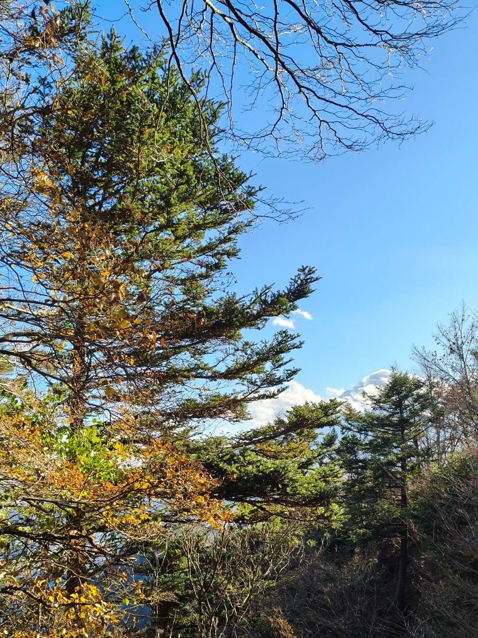 เวียร์ - ศุกลวัฒน์ คณารศ