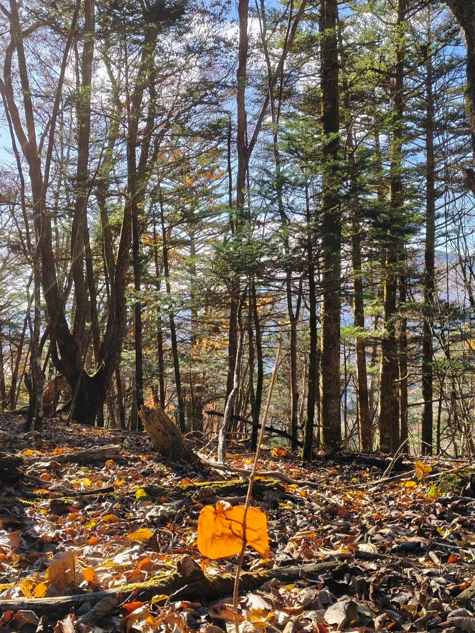 เวียร์ - ศุกลวัฒน์ คณารศ