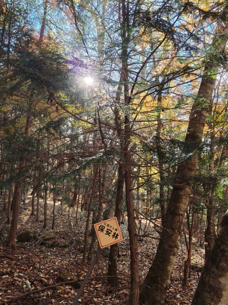 เวียร์ - ศุกลวัฒน์ คณารศ