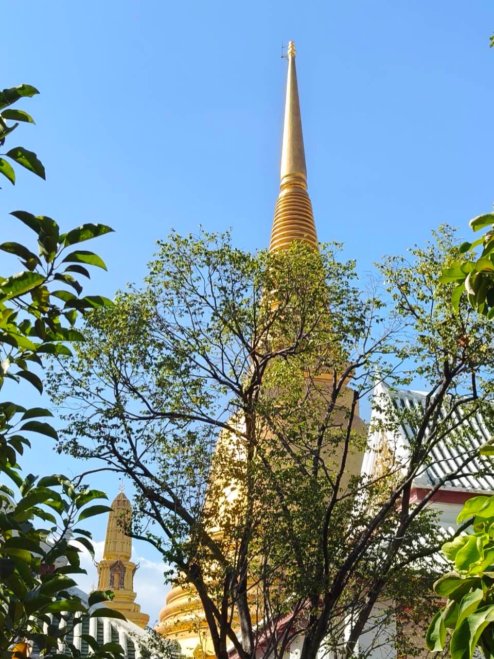 เวียร์ - ศุกลวัฒน์ คณารศ