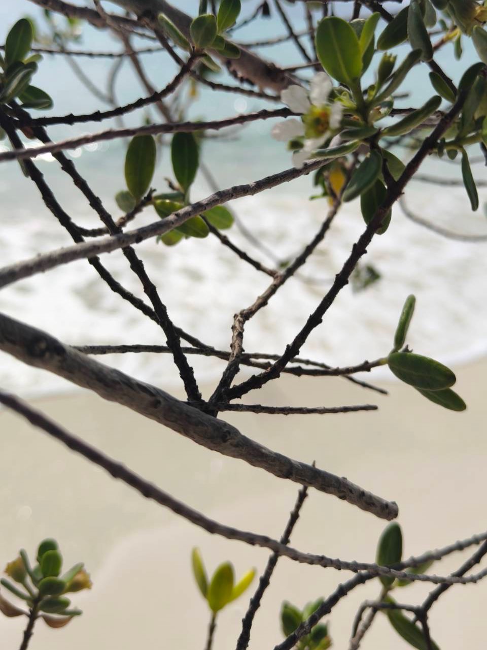 เวียร์ - ศุกลวัฒน์ คณารศ