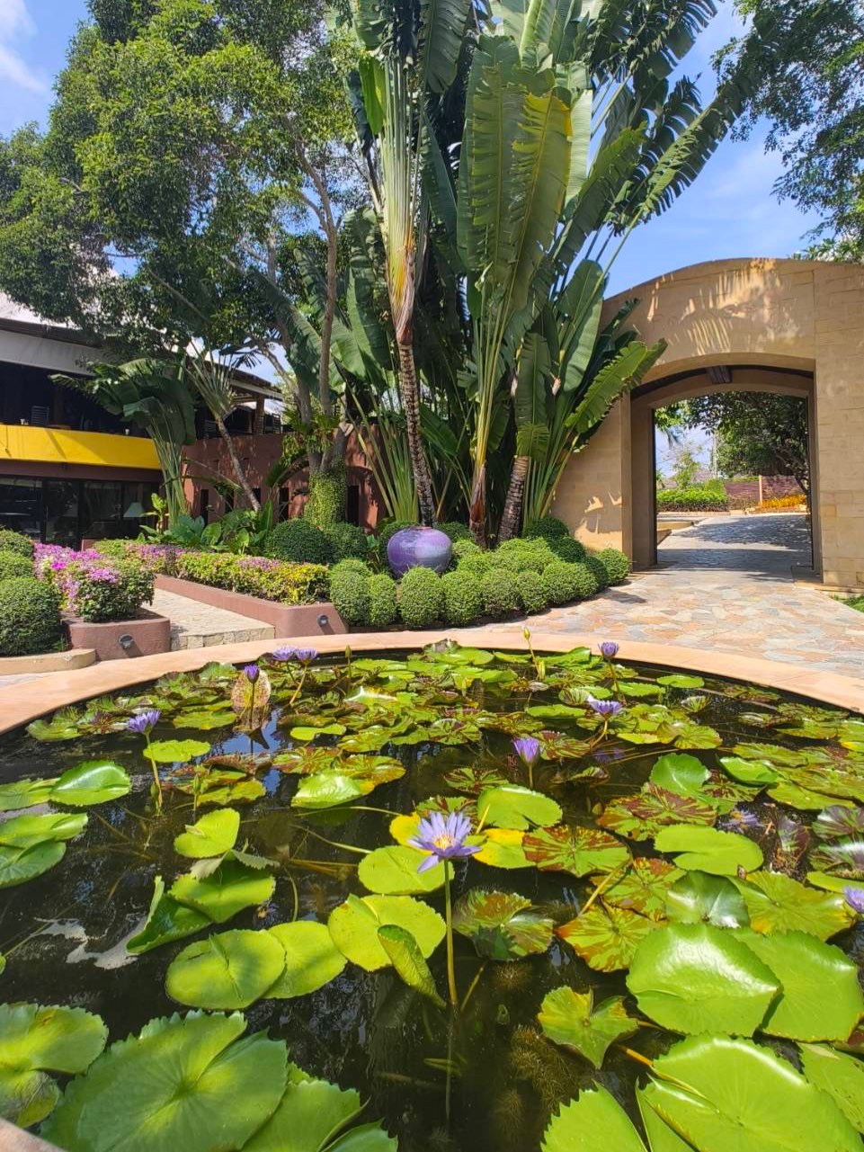 เวียร์ - ศุกลวัฒน์ คณารศ