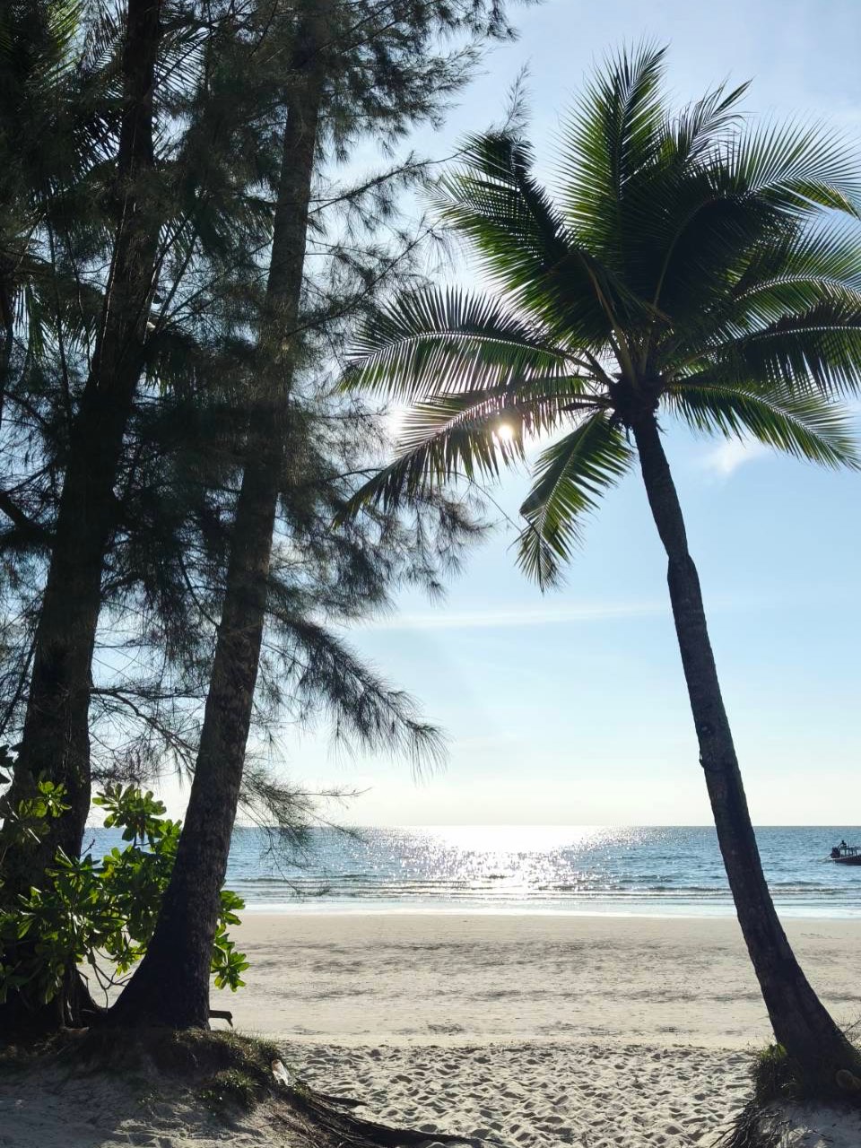 เวียร์ - ศุกลวัฒน์ คณารศ