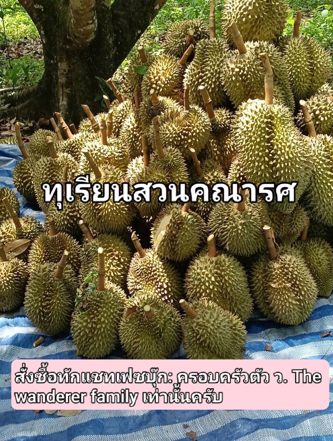 เวียร์ - ศุกลวัฒน์ คณารศ