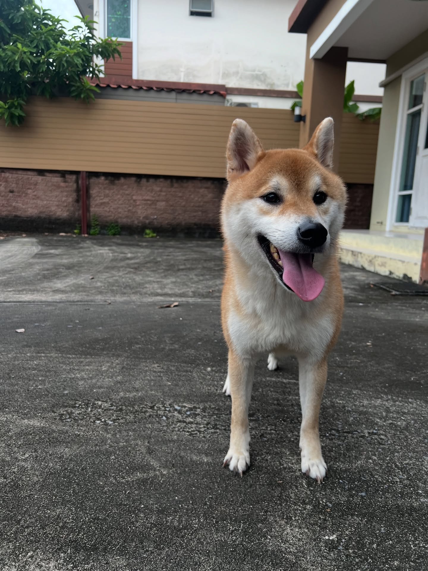 เจมส์ มาร์