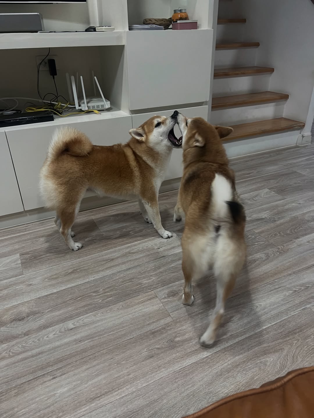 เจมส์ มาร์