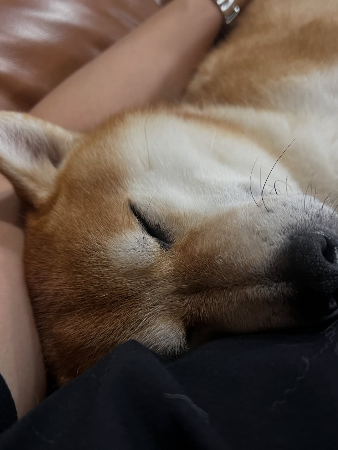 เจมส์ มาร์