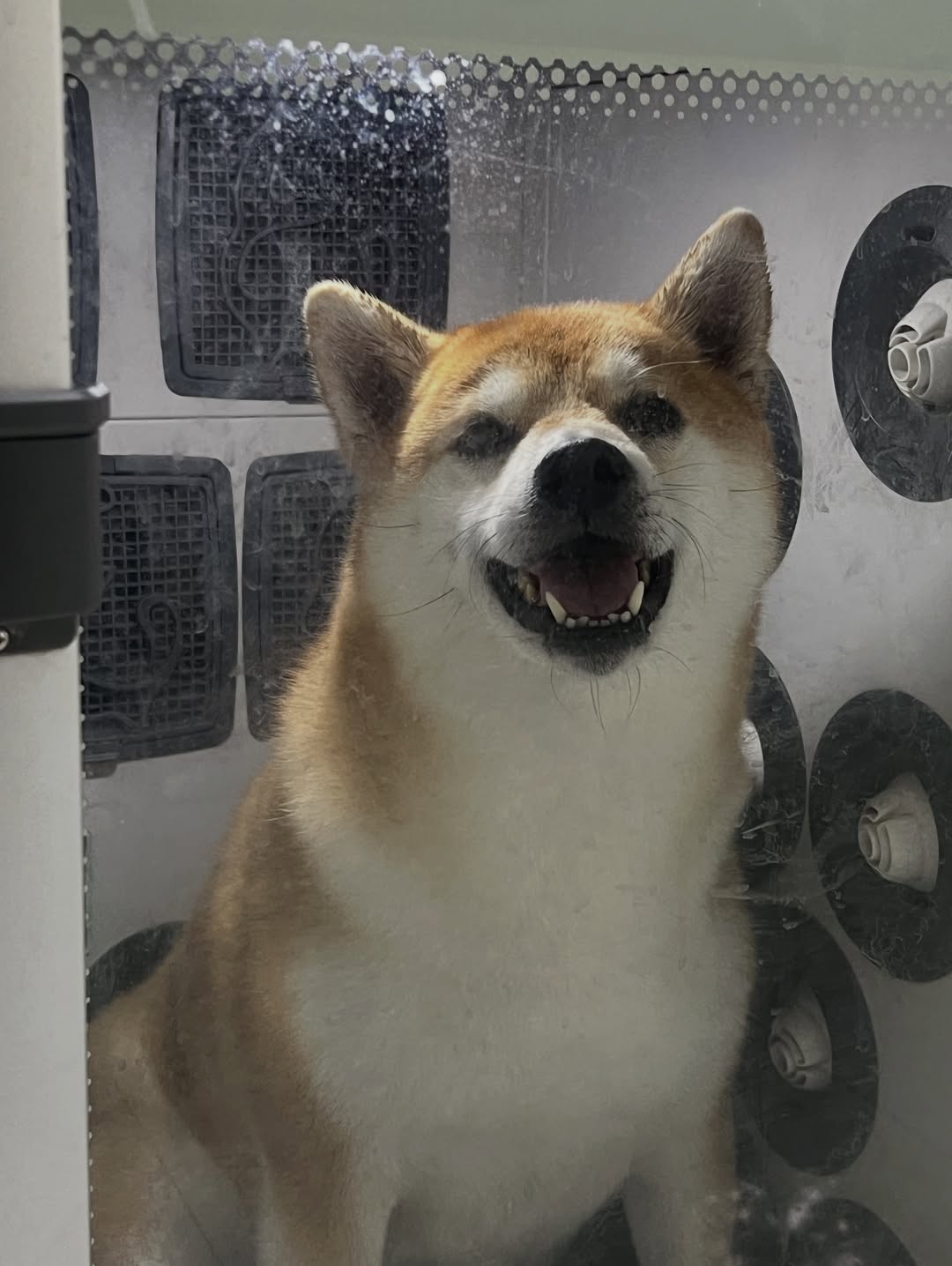 เจมส์ มาร์