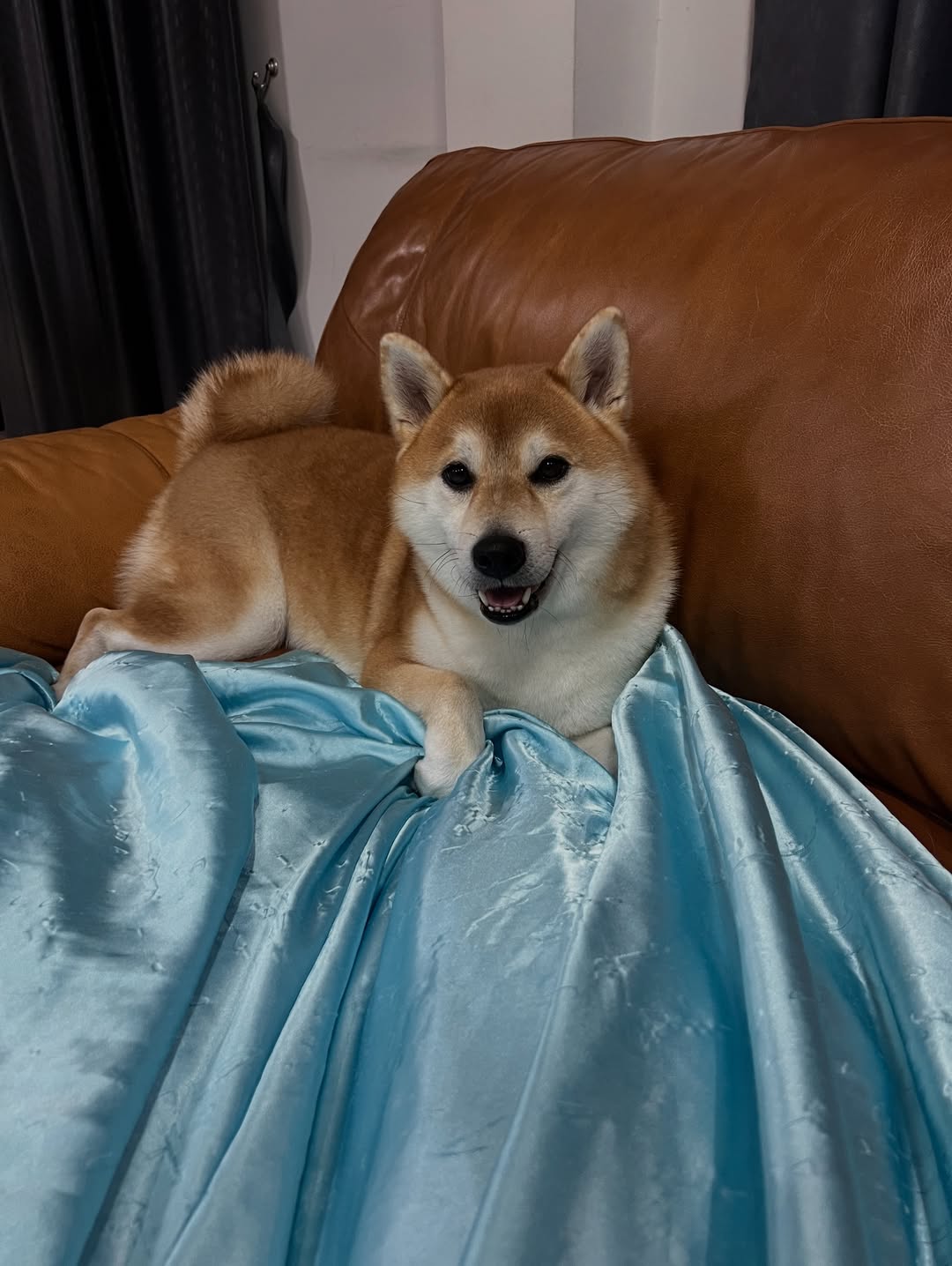 เจมส์ มาร์