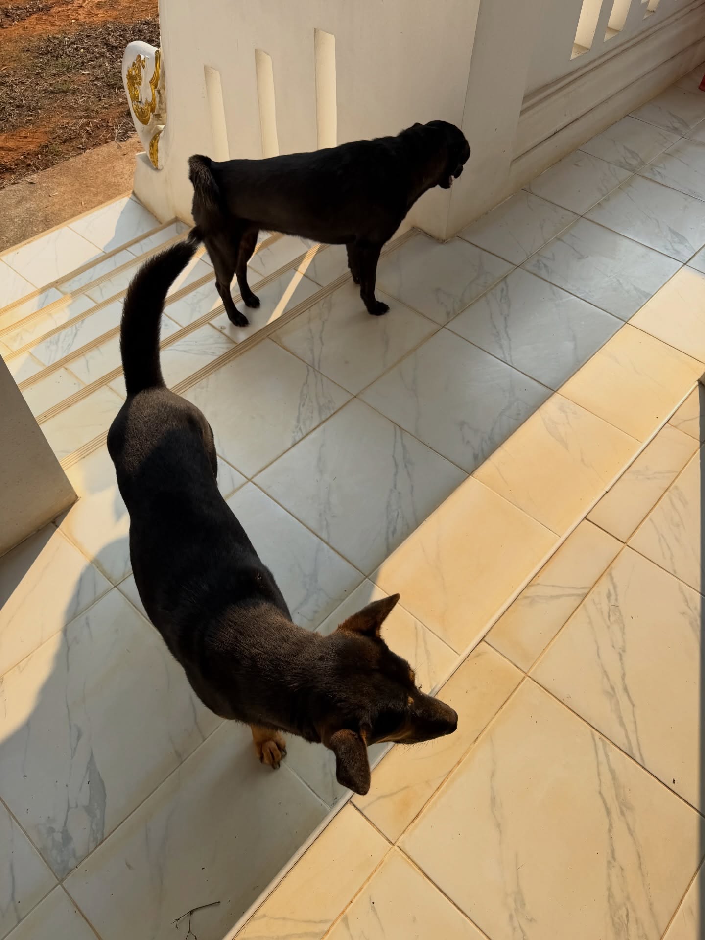 เจมส์ มาร์