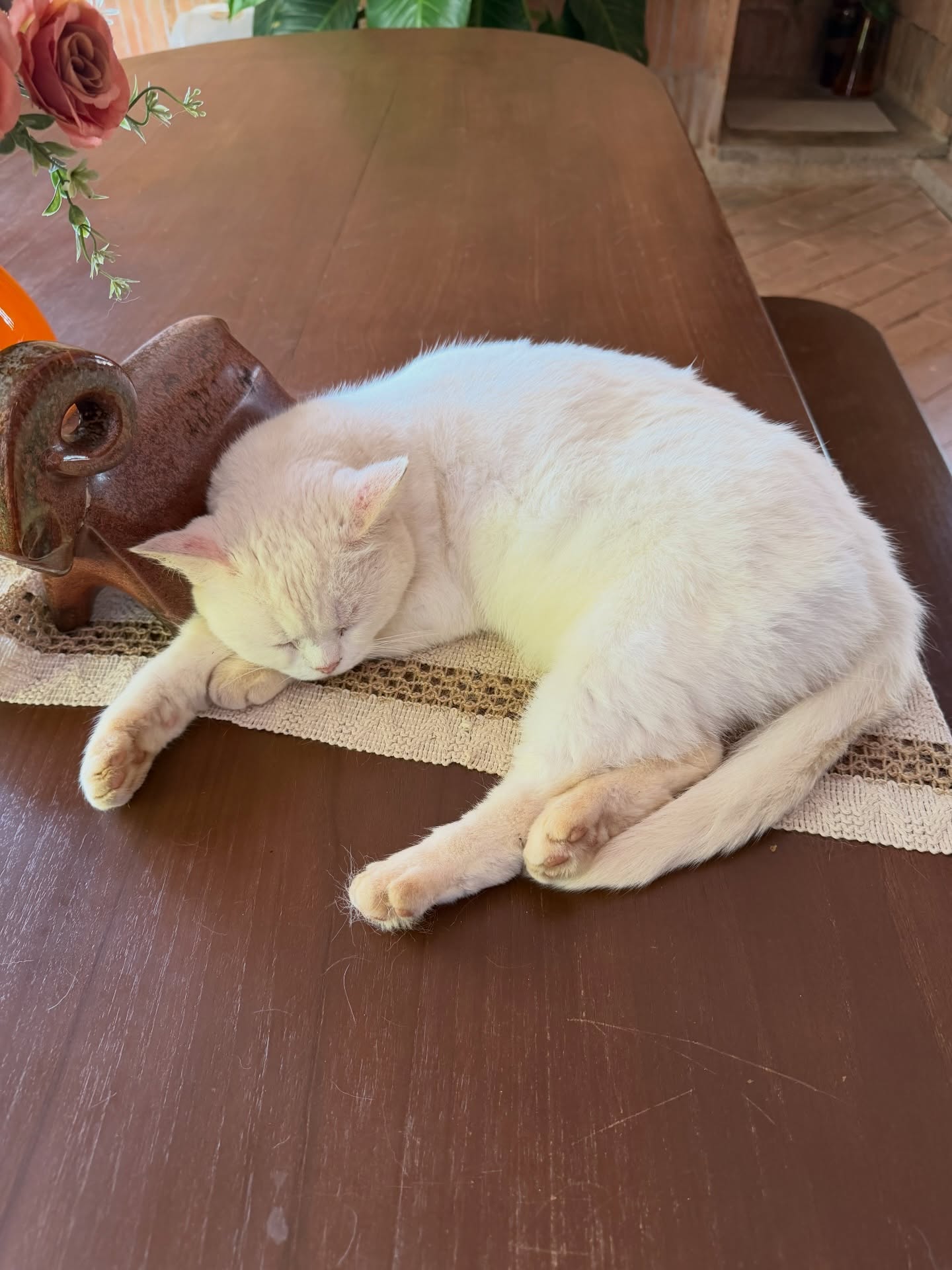 เจมส์ มาร์