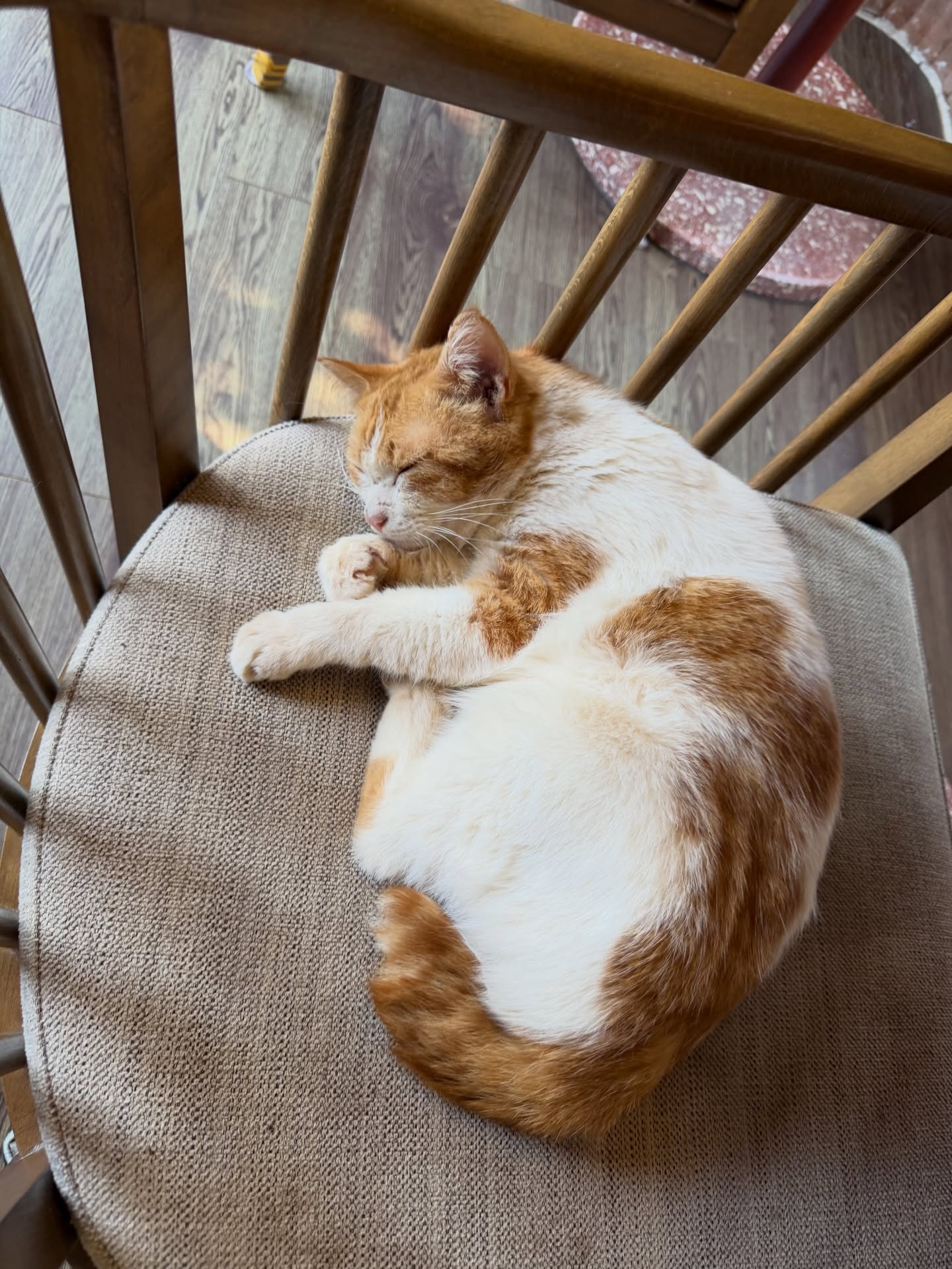 เจมส์ มาร์