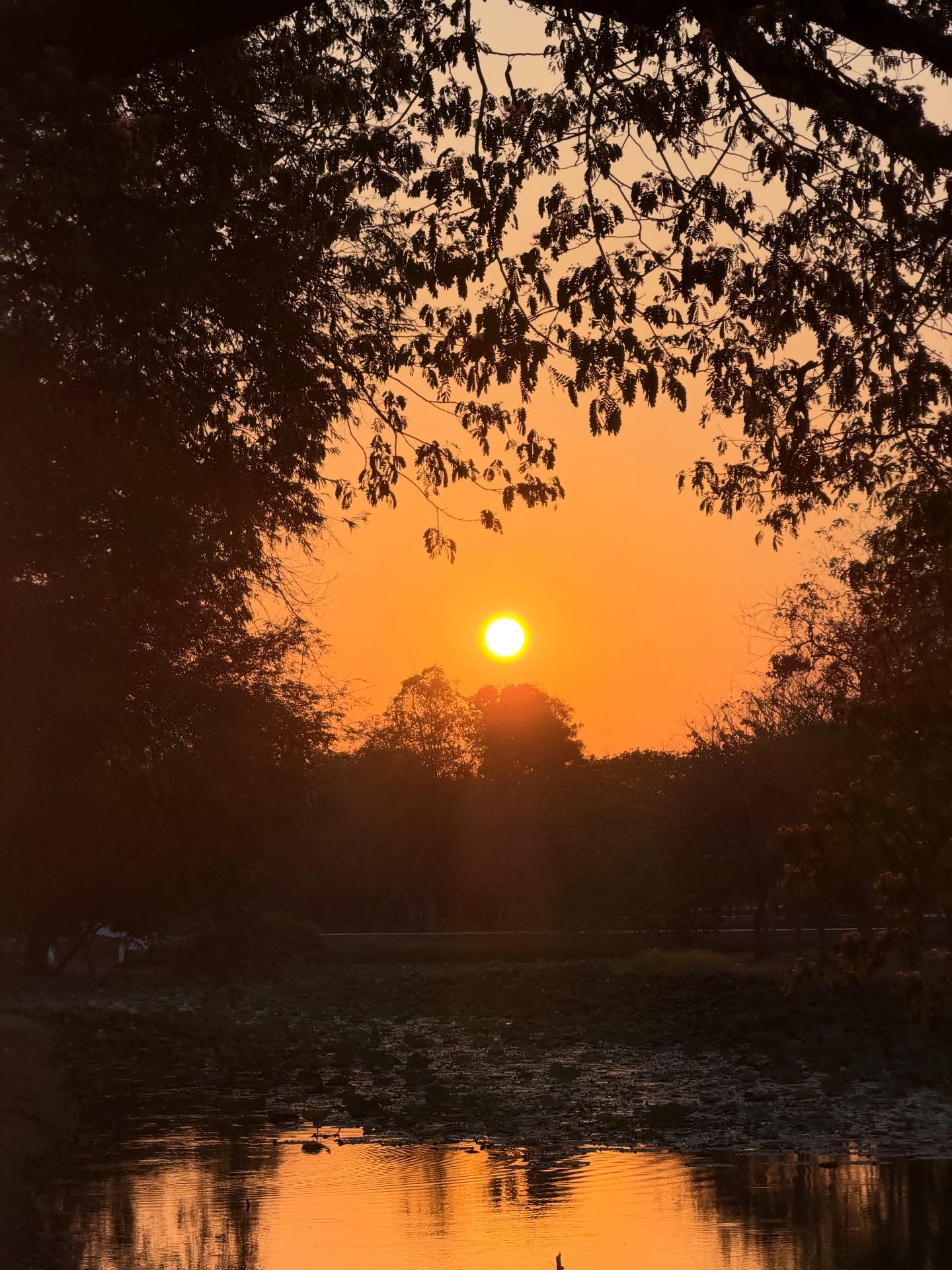 เจมส์ มาร์