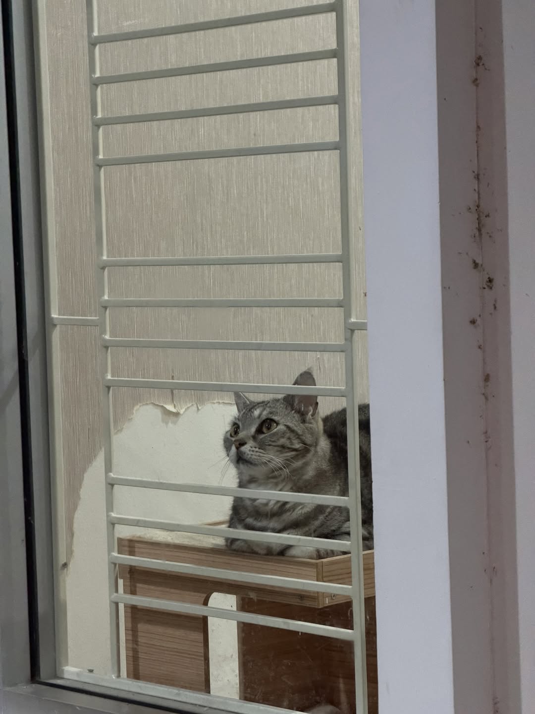 เจมส์ มาร์