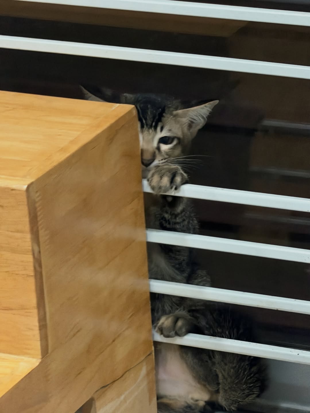 เจมส์ มาร์