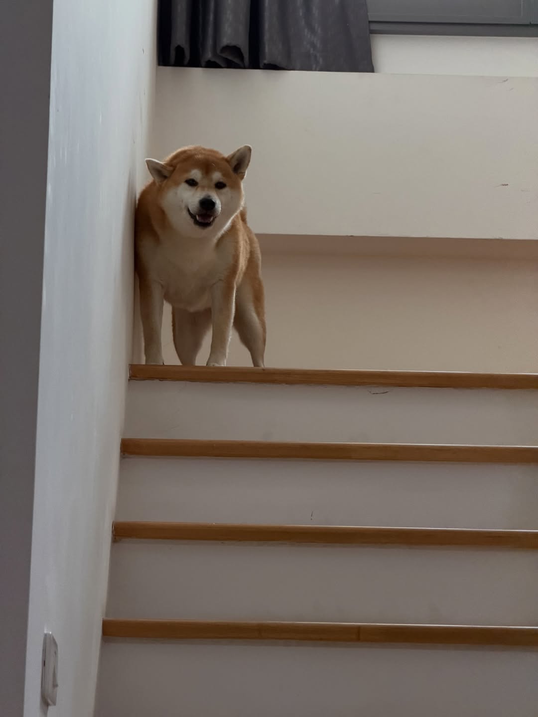 เจมส์ มาร์