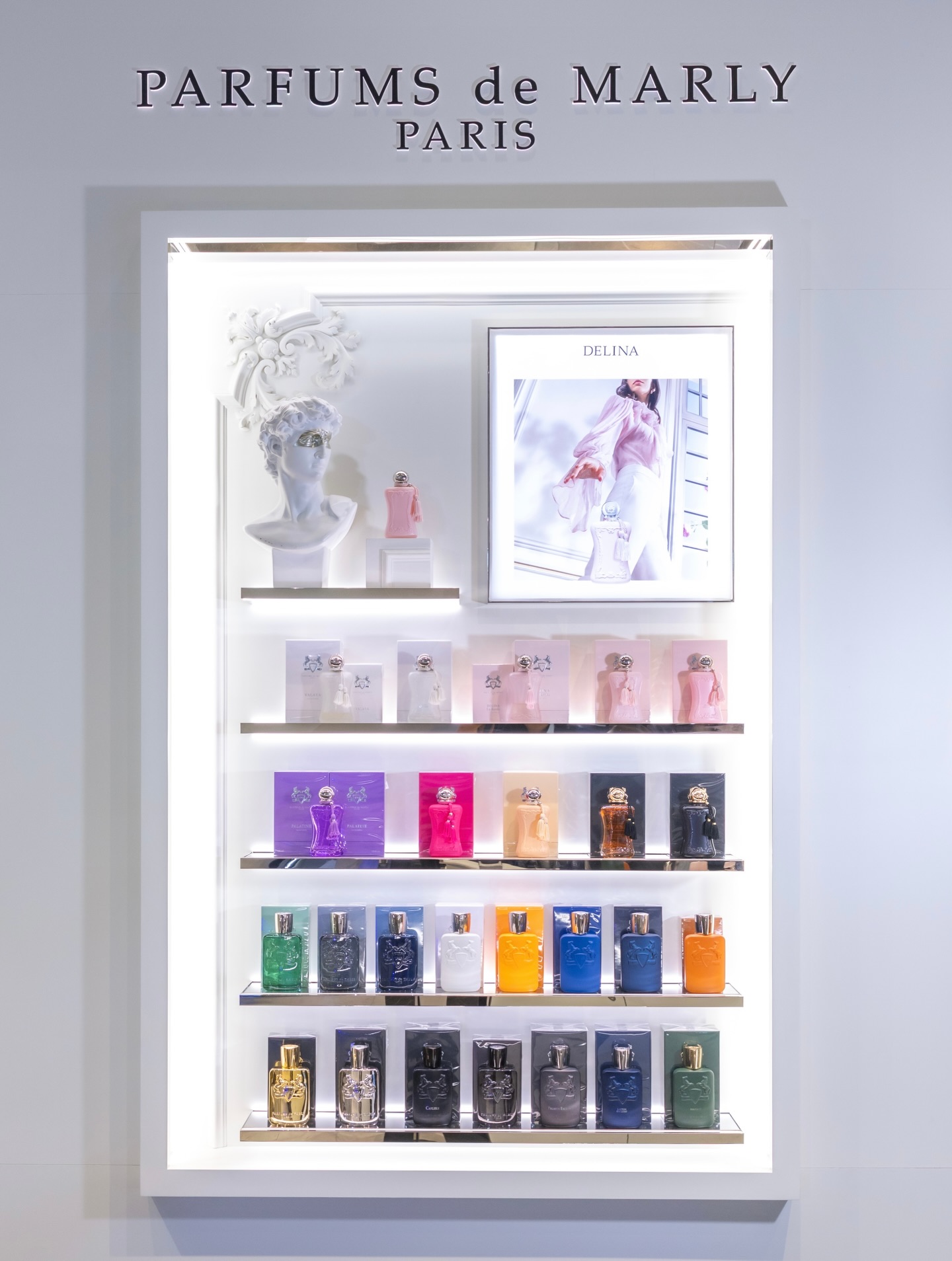 วิลเลี่ยม - จักรภัทร แก้วพันธุ์พงษ์