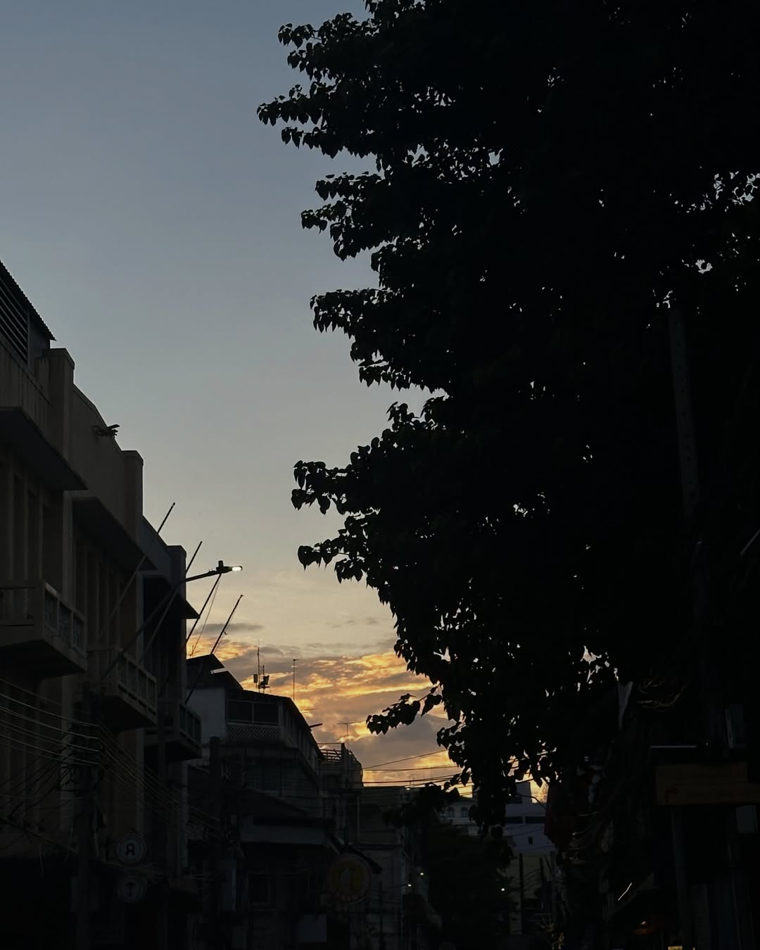 น้ำฟ้า - ธัญญภัสร์ ภัทรธีรชัยเจริญ