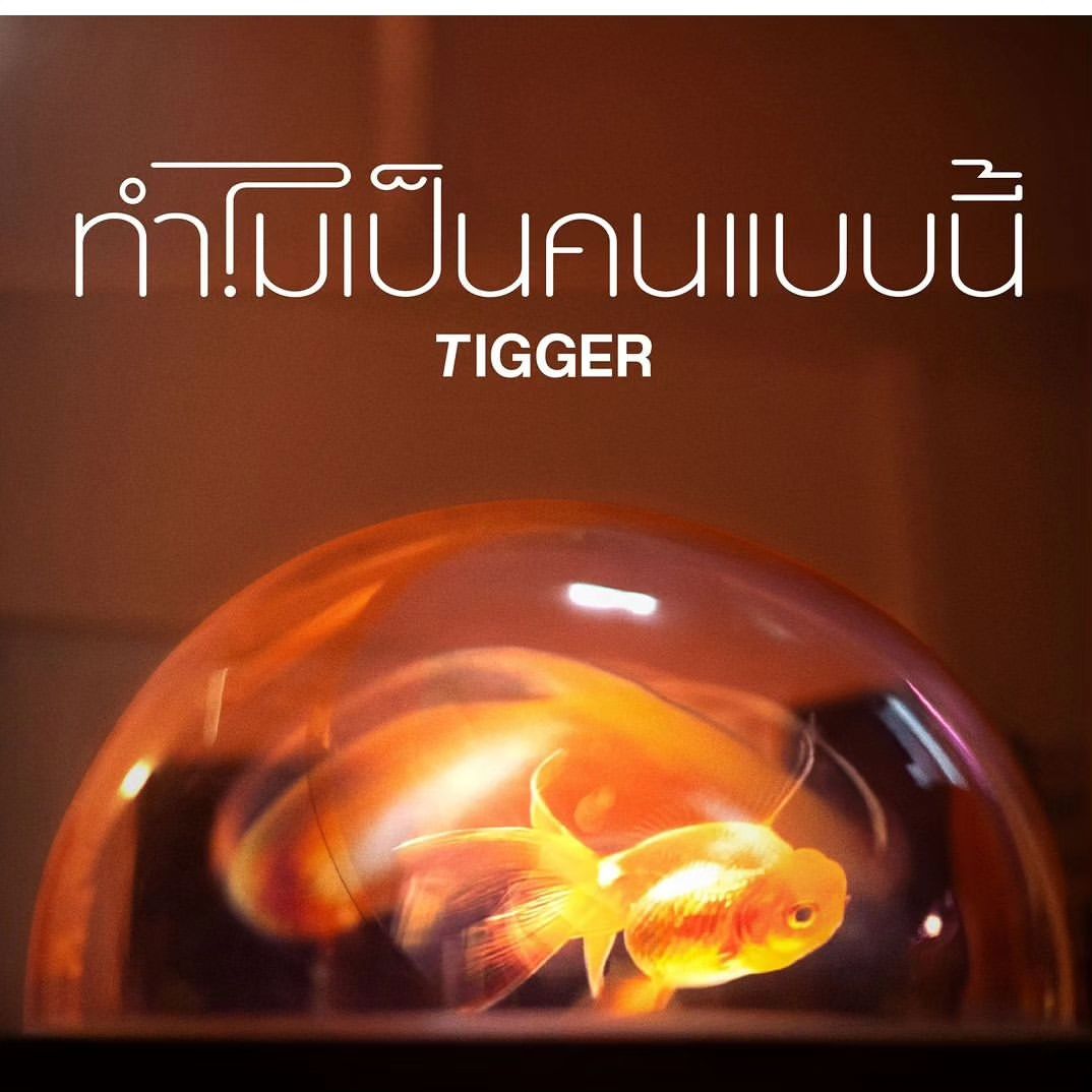 นิกกี้ - นิโคล เทริโอ