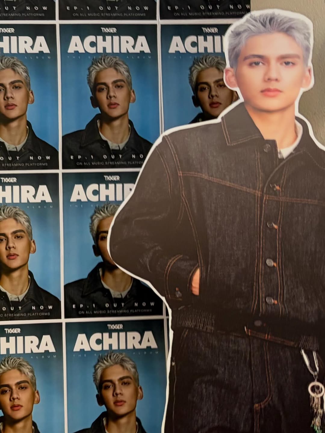 นิกกี้ - นิโคล เทริโอ