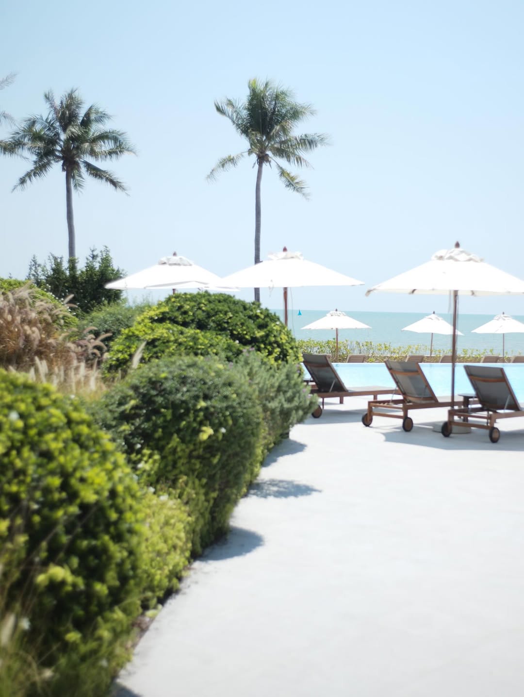 ชาย - ชาตโยดม หิรัญยัษฐิติ