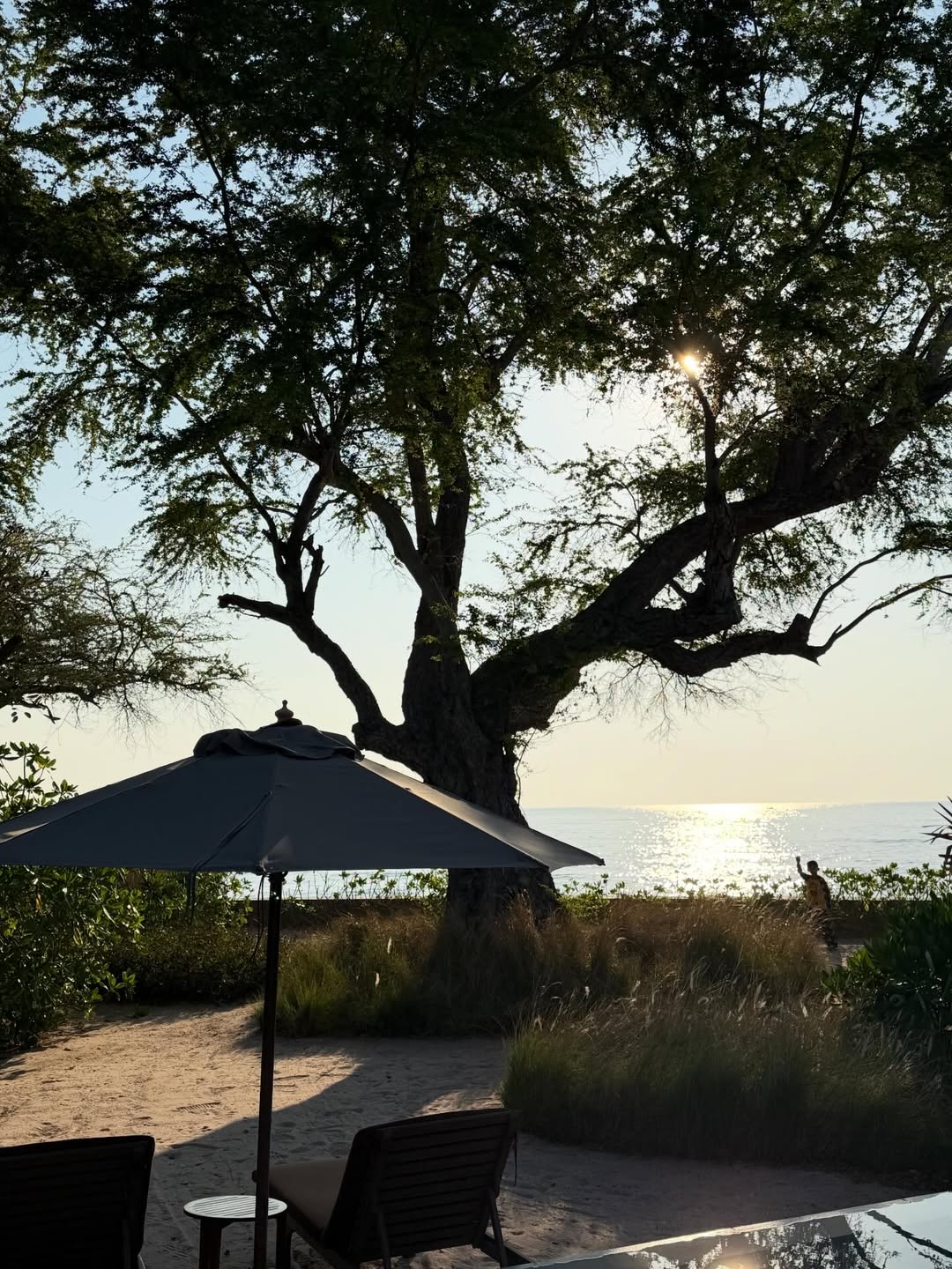 ชาย - ชาตโยดม หิรัญยัษฐิติ