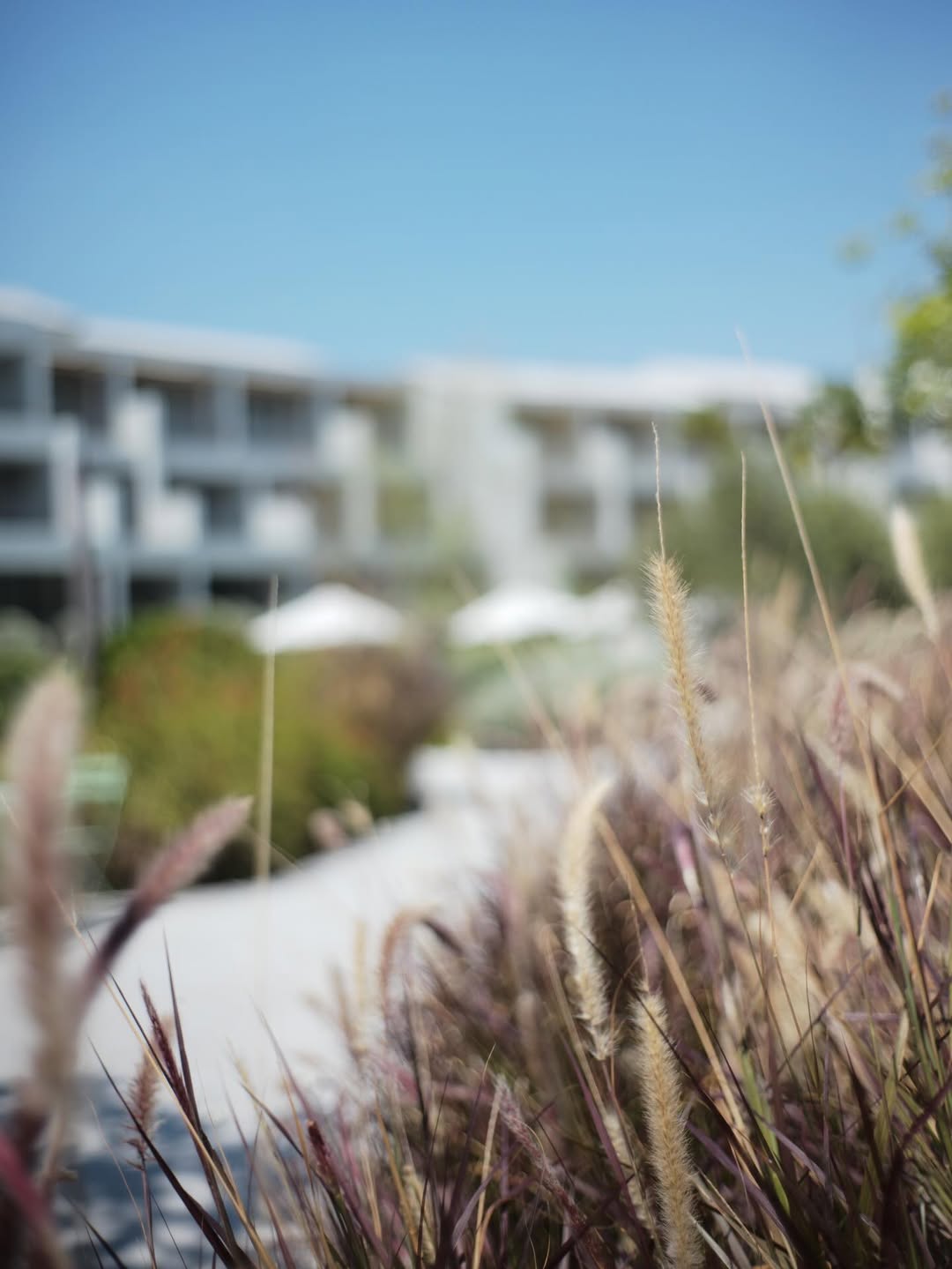 ชาย - ชาตโยดม หิรัญยัษฐิติ