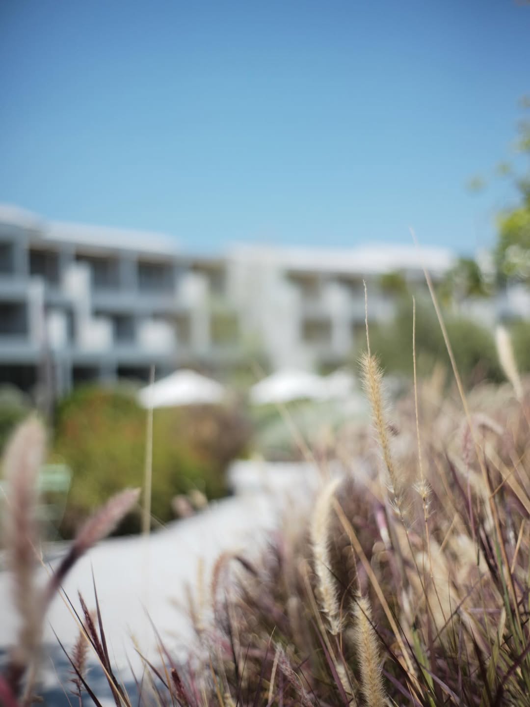 ชาย - ชาตโยดม หิรัญยัษฐิติ