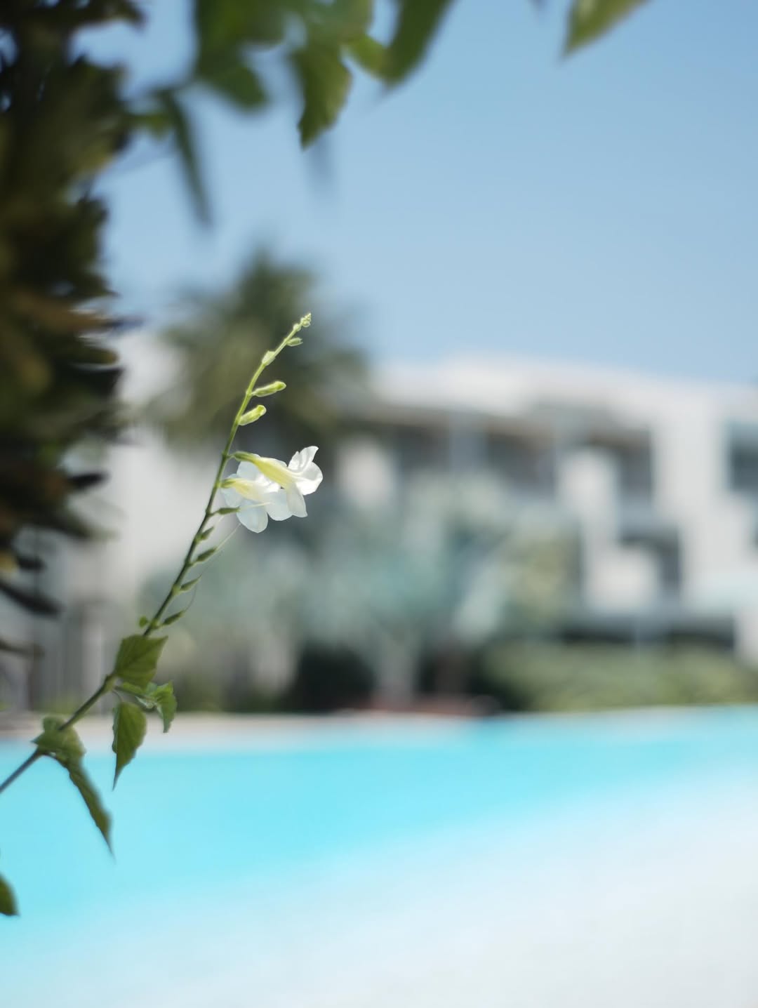 ชาย - ชาตโยดม หิรัญยัษฐิติ