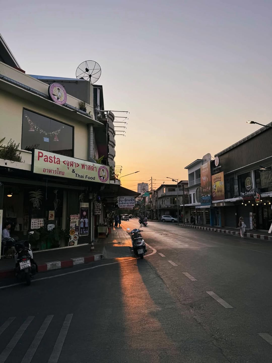 ลำไย ไหทองคำ