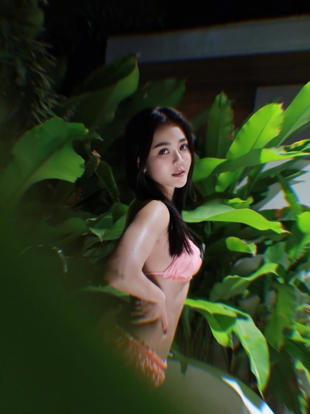 ลำไย ไหทองคำ