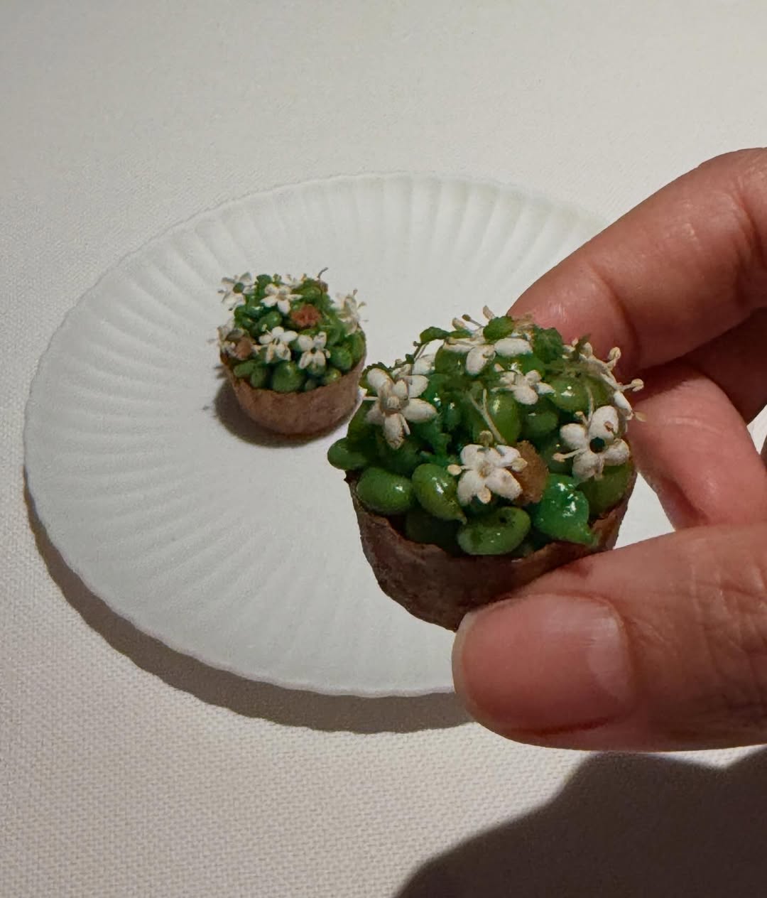 ไอซ์ - อภิษฎา เครือคงคา