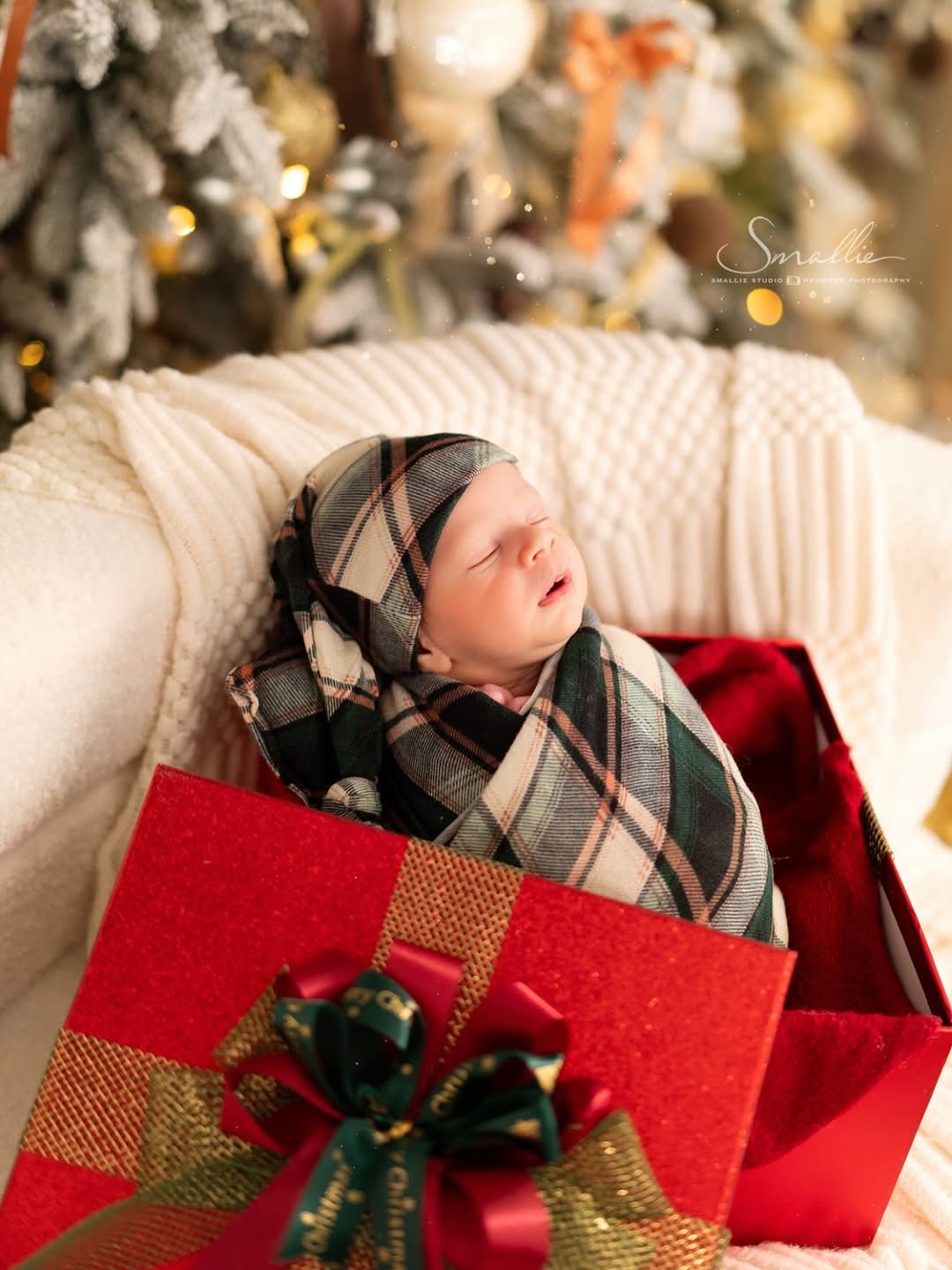 ไอซ์ - อภิษฎา เครือคงคา