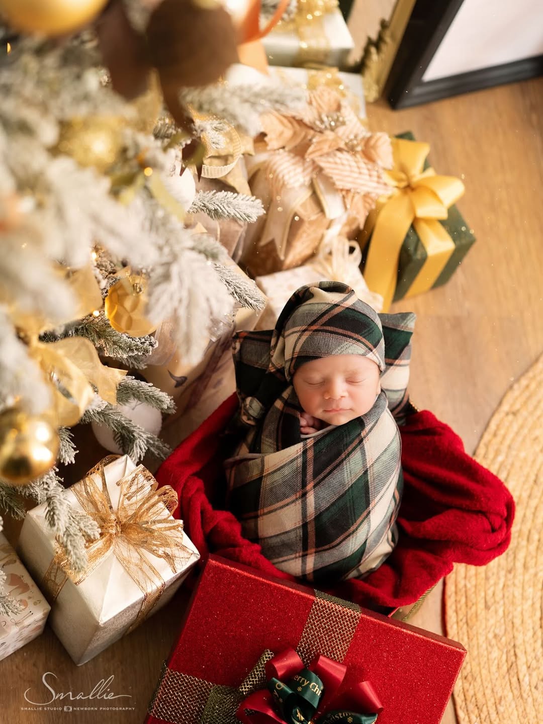 ไอซ์ - อภิษฎา เครือคงคา