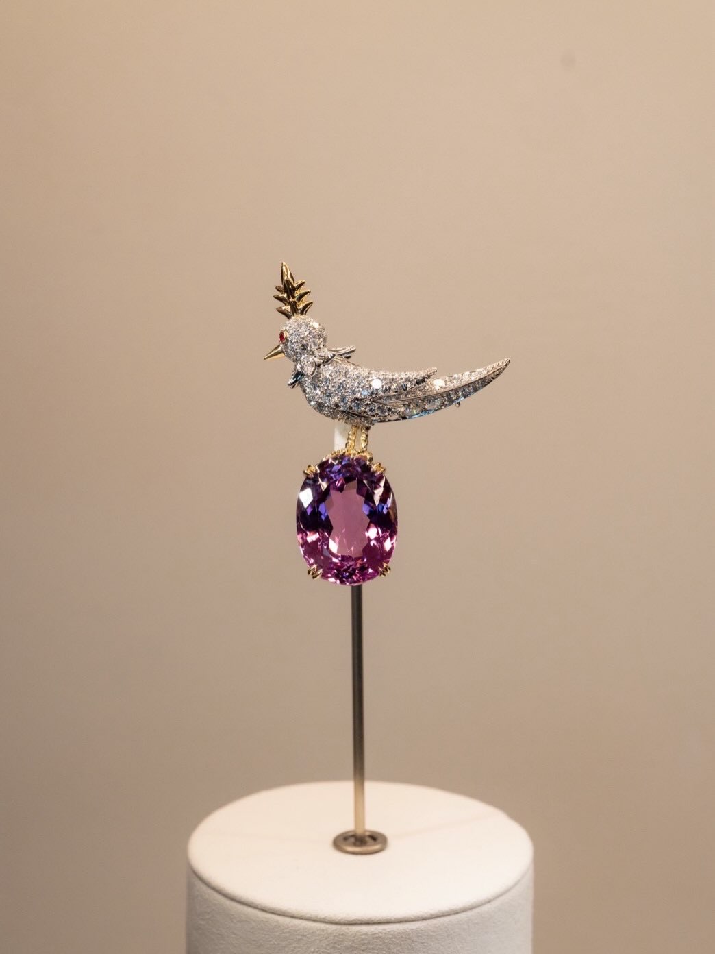 ไอซ์ - อภิษฎา เครือคงคา