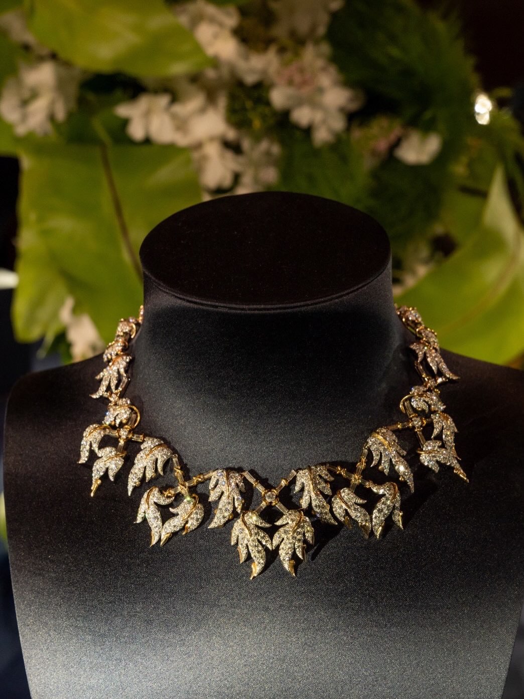 ไอซ์ - อภิษฎา เครือคงคา