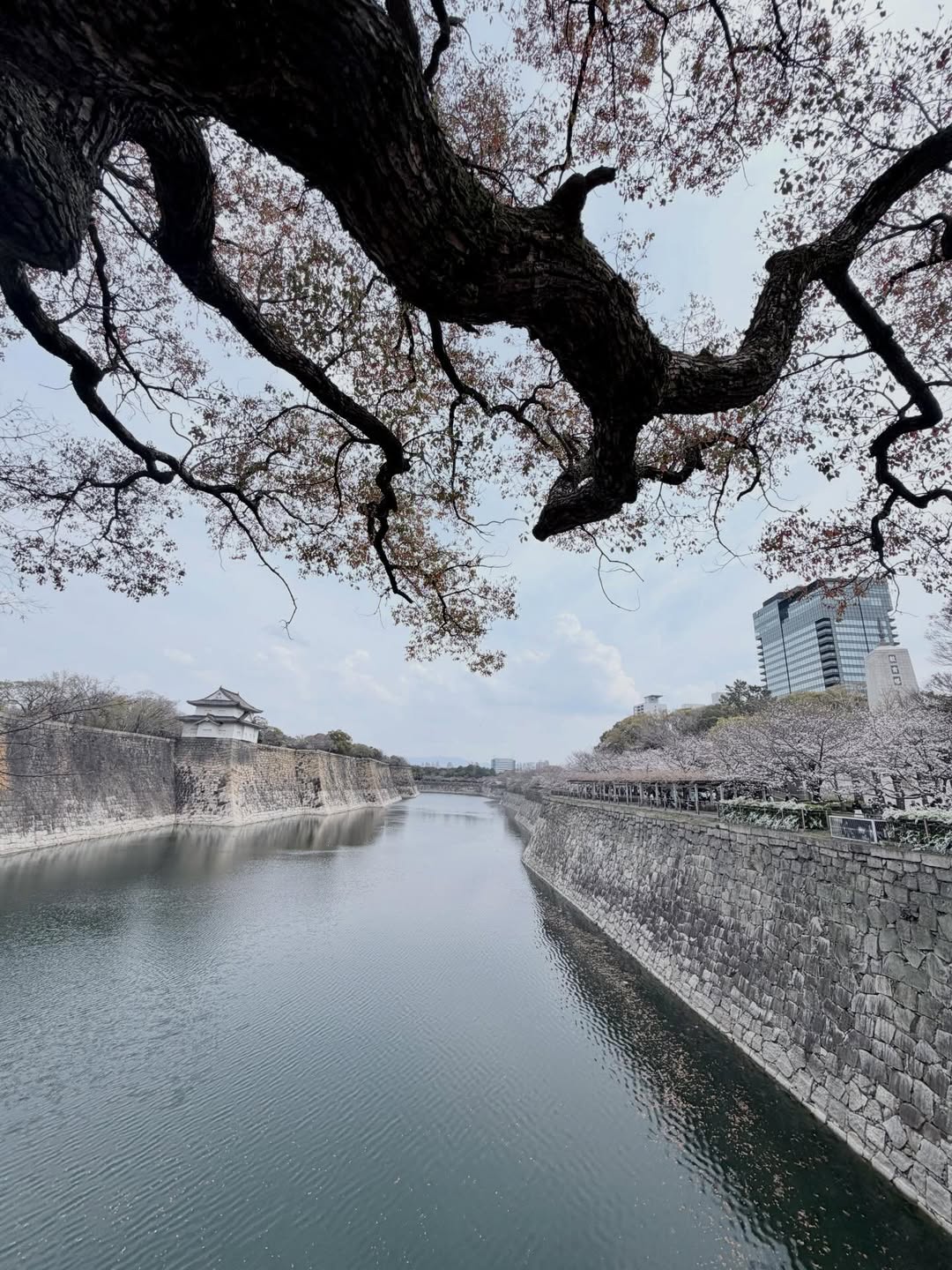 ไอซ์ - อภิษฎา เครือคงคา