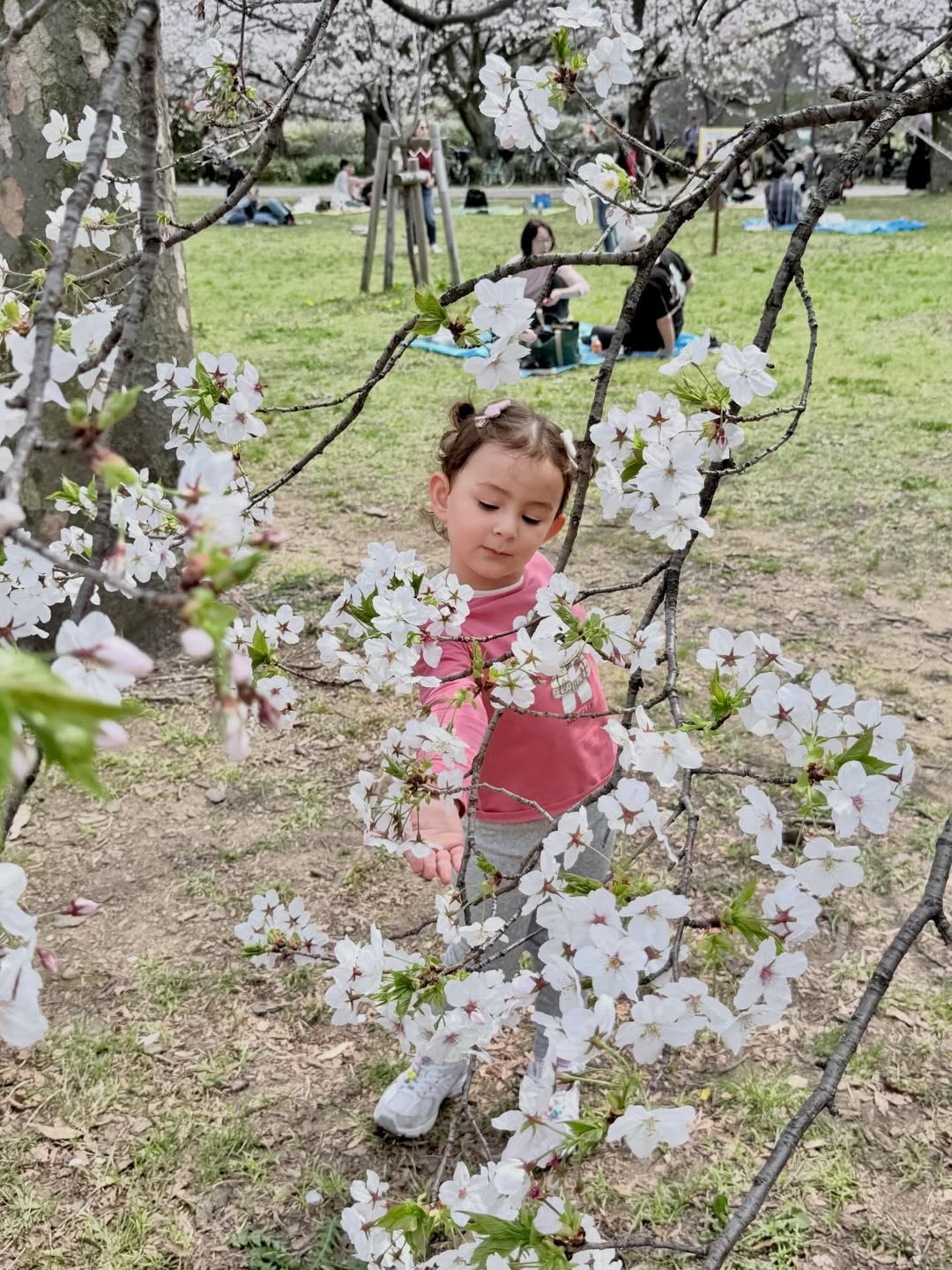 ไอซ์ - อภิษฎา เครือคงคา