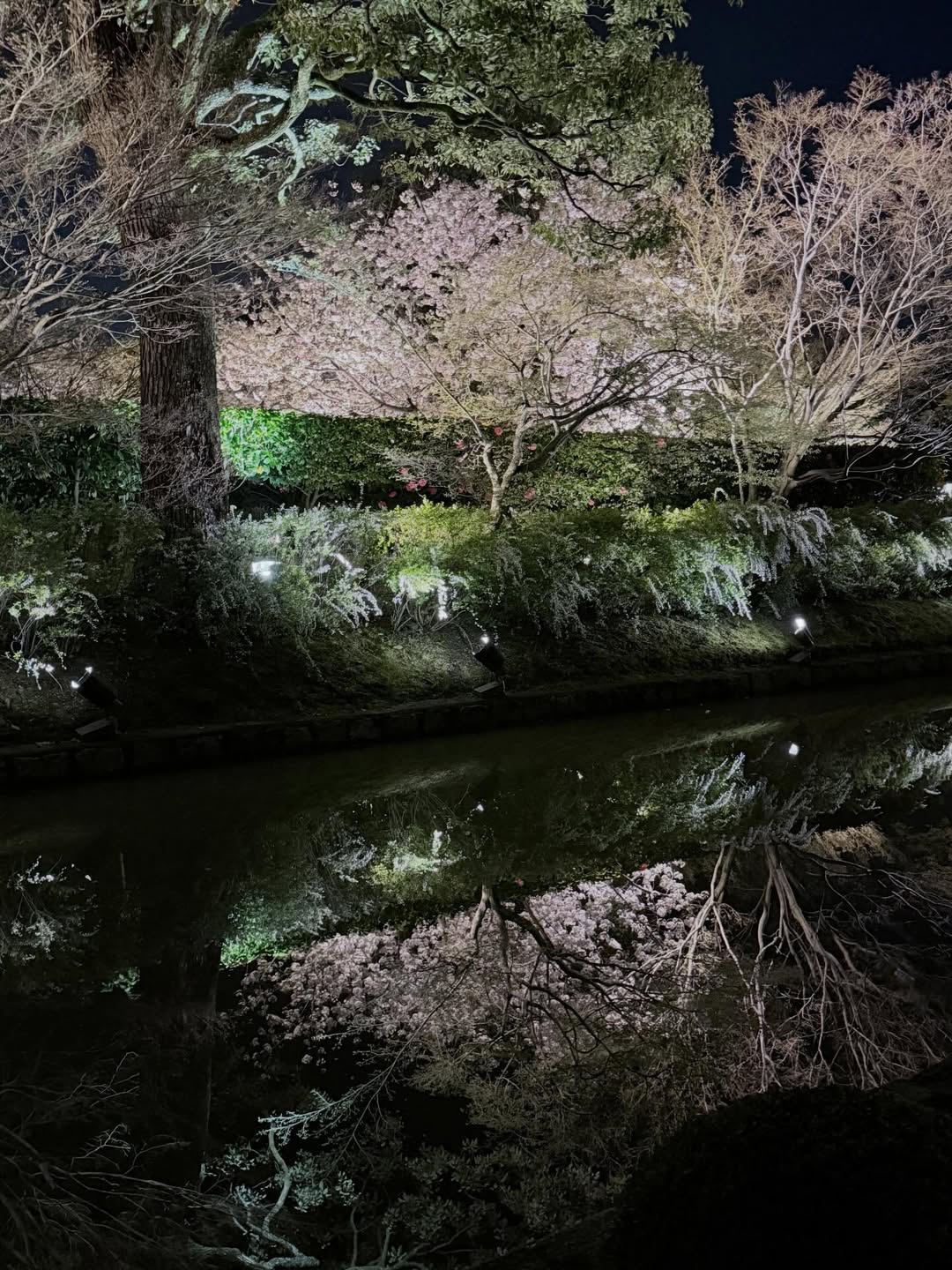 ไอซ์ - อภิษฎา เครือคงคา