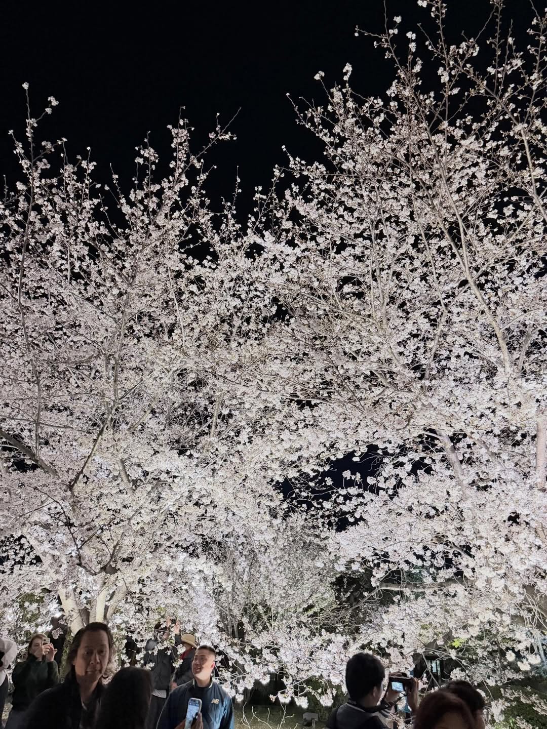 ไอซ์ - อภิษฎา เครือคงคา