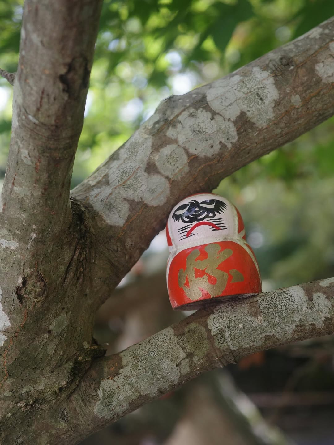 แบงค์ - ศรราม น้ำเพชร