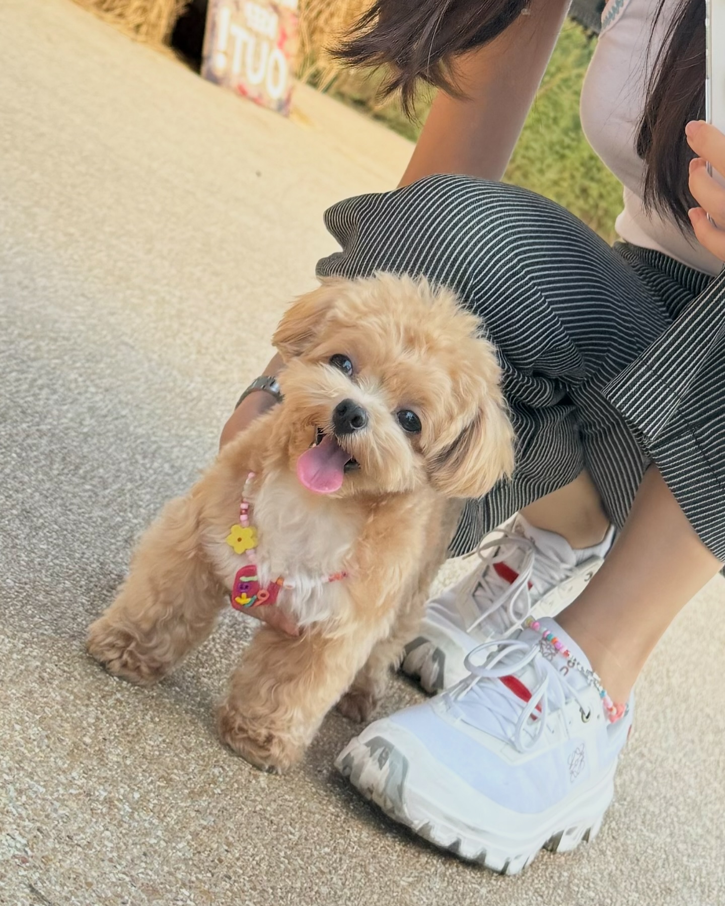 พลอย - ชิดจันทร์ ห่ง