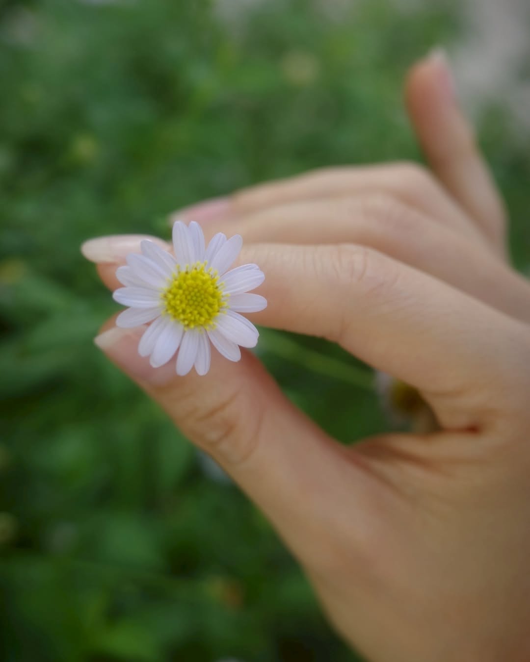 พลอย - ชิดจันทร์ ห่ง