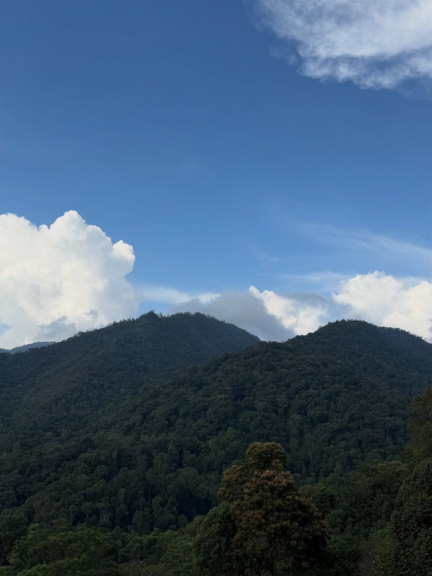 พลอย - ชิดจันทร์ ห่ง